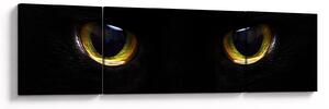 Obraz - Kocie oczy (170x50 cm)