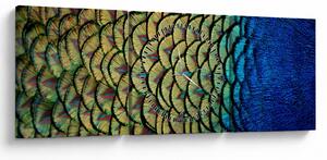 Obraz - Pawie pióra (z zegarem) (90x30 cm)