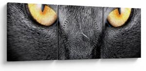 Obraz - Portret kota z bliska (z zegarem) (90x30 cm)