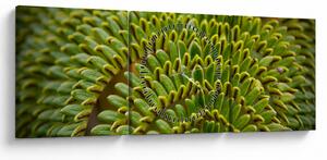 Obraz - Paproć (z zegarem) (90x30 cm)
