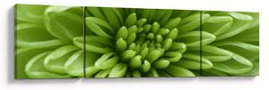 Obraz - Obraz rośliny w trybie makro (170x50 cm)