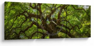 Obraz - Zielone drzewo (z zegarem) (90x30 cm)