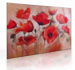 Obraz na szkle - Wilcze maki (70x50 cm)