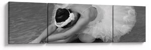 Obraz - Balerina, czarno-biały (170x50 cm)