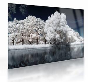 Obraz na szkle - Śnieżnobiałe drzewa (70x50 cm)