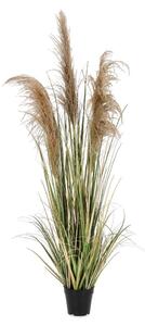 Sztuczna roślina (wysokość 145 cm) Austorderia – Bizzotto