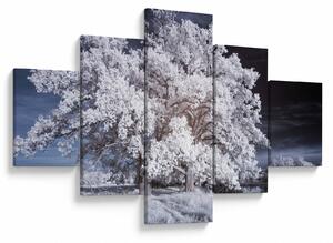 Obraz - Śnieżnobiałe drzewo (125x70 cm)