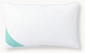 Poduszka z pierza Comfort, średnia
