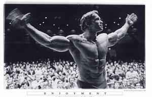 Plakat, Obraz Arnold Schwarzenegger - Enjoyment