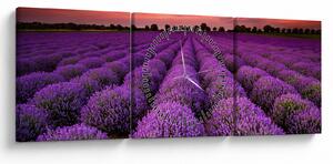 Obraz - Pole lawendy (z zegarem) (90x30 cm)
