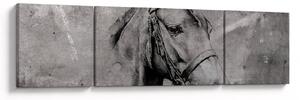 Obraz - Portret konia (170x50 cm)