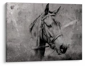 Obraz - Portret konia (70x50 cm)