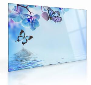 Obraz na szkle - Motyl na kwiatach orchidei, niebieski (70x50 cm)