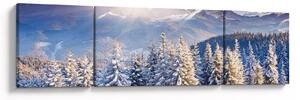 Obraz - Krajobraz górski zimą (170x50 cm)