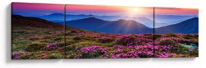 Obraz - Krajobraz kwitnących gór (170x50 cm)