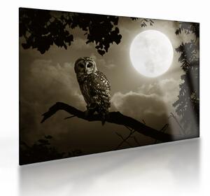 Obraz na szkle - Nocna sowa, złoty (70x50 cm)
