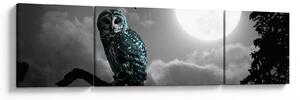 Obraz - Nocna sowa, niebieski (170x50 cm)