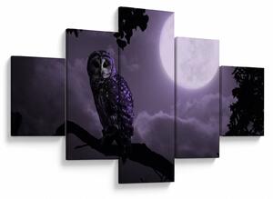 Obraz - Nocna sowa, fioletowy (125x70 cm)
