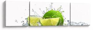Obraz - Limes (170x50 cm)