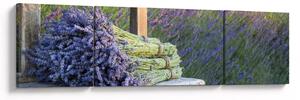 Obraz - Pęczki lawendy (170x50 cm)