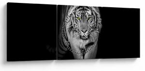 Obraz - Tygrys z żółtymi oczami (z zegarem) (90x30 cm)