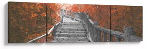 Obraz - Schody w naturze, pomarańczowy (170x50 cm)