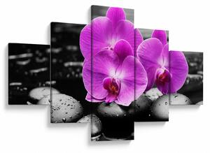 Obraz - Fioletowe orchidee (125x70 cm)