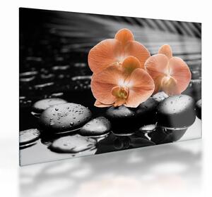 Obraz na szkle - Pomarańczowe orchidee (70x50 cm)