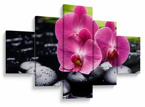 Obraz - Różowe orchidee z liściem palmy (125x70 cm)