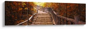 Obraz - Schody w naturze jesienią (170x50 cm)