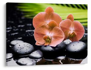 Obraz - Pomarańczowa orchidea z liśćmi palmy (70x50 cm)