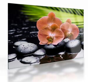 Obraz na szkle - Pomarańczowa orchidea z liśćmi palmy (70x50 cm)