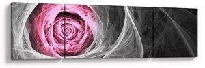 Obraz - Róż abstrakcyjny, fuksja (170x50 cm)