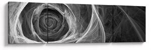 Obraz - Abstrakcyjna róża czarno-biała (170x50 cm)