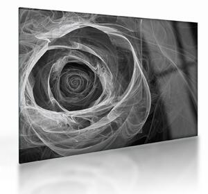 Obraz na szkle - Abstrakcyjna róża czarno-biała (70x50 cm)
