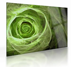 Obraz na szkle - Abstrakcyjny zielony róż (70x50 cm)