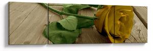Obraz - Żółte róże w stylu vintage (170x50 cm)