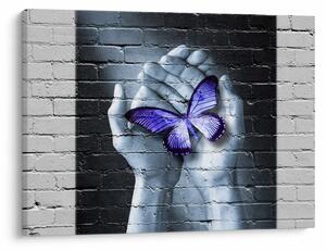 Obraz - Fioletowy motyl na ścianie (70x50 cm)