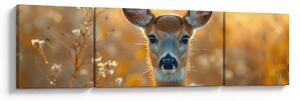 Obraz - Łania (170x50 cm)