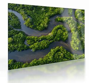 Obraz na szkle - Krajobraz leśny z rzeką (70x50 cm)