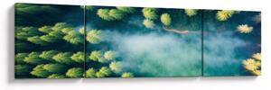 Obraz - Las spowity mgłą (170x50 cm)