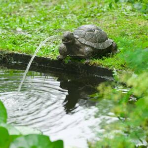 Ubbink Fontanna ogrodowa w kształcie żółwia