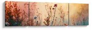 Obraz - Dzikie kwiaty (170x50 cm)