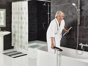 RIDDER Uchwyt łazienkowy Premium, 45 cm, aluminium, srebrny