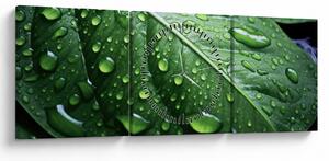 Obraz - Szczegół liścia po deszczu (z zegarem) (90x30 cm)