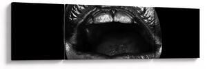 Obraz - Błyszczące usta (170x50 cm)
