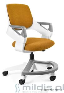 Krzesło ergonomiczne dla dziecka Rookee