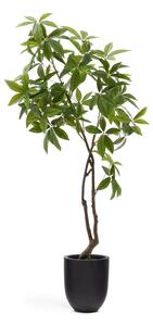 Sztuczna roślina (wysokość 180 cm) Pachira – Kave Home
