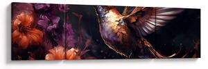 Obraz - Koliber (170x50 cm)