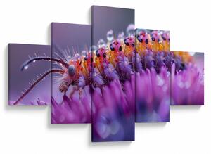Obraz - Caterpillar (125x70 cm)